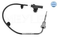 Sensor Abgastemperatur, Bild 1