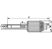 Anker Starter Anlasser, Bild 2