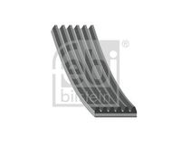 Keilrippenriemen Spanner Set, Bild 2