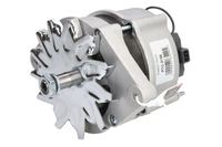 Lichtmaschine Generator, Bild 1