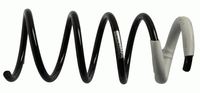 Stoßdämpfer Federn Set Vorne, Bild 2