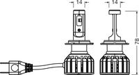 Glühlampe Scheinwerfer Fernscheinwerfer, Bild 3