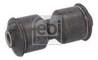 Federbuchs Blattfeder, Bild 1