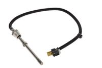 Sensor Abgastemperatur, Bild 1