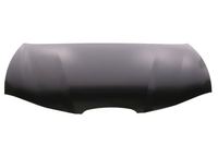 Motorhaube, Bild 1