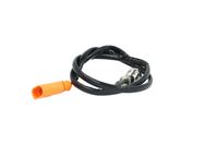 Sensor Abgastemperatur, Bild 13