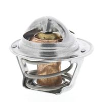 Thermostat Kühlwasser Kühlmittel, Bild 20
