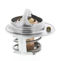 Thermostat Kühlwasser Kühlmittel, Bild 25