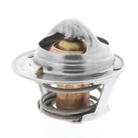 Thermostat Kühlwasser Kühlmittel, Bild 9