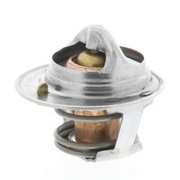 Thermostat Kühlwasser Kühlmittel, Bild 10
