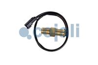 Sensor Geschwindigkeit