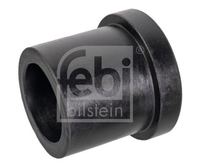 Federbuchs Blattfeder, Bild 1