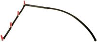 Schlauch Leckkraftstoff