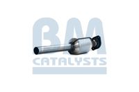 Katalysator Kat, Bild 19