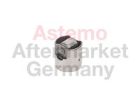 Elemente der Kraftstoffpumpe, Bild 2