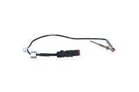 Sensor Abgastemperatur, Bild 1