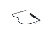 Sensor Abgastemperatur, Bild 32