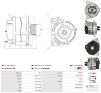 Lichtmaschine Generator, Bild 5