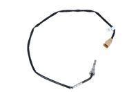 Sensor Abgastemperatur, Bild 39