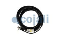 ABS Sensor Drehzahlmesser, Bild 1