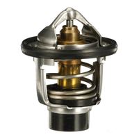 Thermostat Kühlwasser Kühlmittel, Bild 26
