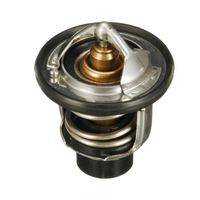 Thermostat Kühlwasser Kühlmittel, Bild 30