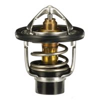 Thermostat Kühlwasser Kühlmittel, Bild 4