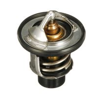 Thermostat Kühlwasser Kühlmittel, Bild 37