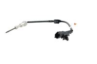 Sensor Abgastemperatur, Bild 15