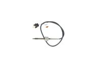 Sensor Abgastemperatur, Bild 10