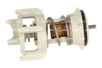 Thermostat Kühlwasser Kühlmittel, Bild 5