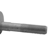 Sturzkorrekturschraube, Bild 4