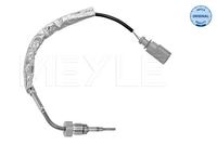 Sensor Abgastemperatur, Bild 1