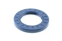 Wellen Dichtring Differential, Bild 1