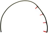 Schlauch Leckkraftstoff