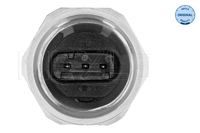 Rauchgasdrucksensor, Bild 2