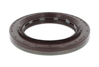 Wellen Dichtring Differential