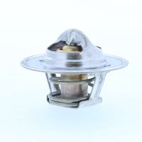 Thermostat Kühlwasser Kühlmittel, Bild 12