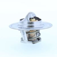 Thermostat Kühlwasser Kühlmittel, Bild 17