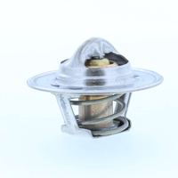 Thermostat Kühlwasser Kühlmittel, Bild 18
