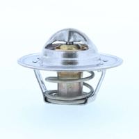 Thermostat Kühlwasser Kühlmittel, Bild 10