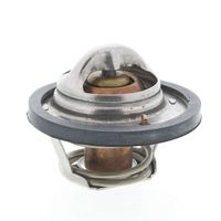 Thermostat Kühlwasser Kühlmittel, Bild 19