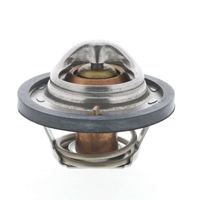 Thermostat Kühlwasser Kühlmittel, Bild 21