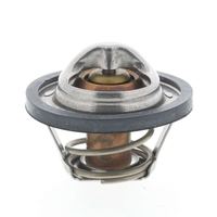 Thermostat Kühlwasser Kühlmittel, Bild 9