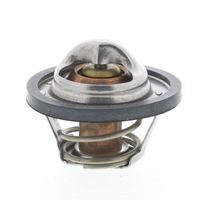 Thermostat Kühlwasser Kühlmittel, Bild 10