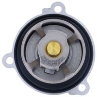 Thermostat Kühlwasser Kühlmittel, Bild 7
