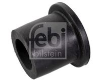 Federbuchs Blattfeder, Bild 2