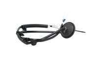 Sensor Abgastemperatur, Bild 33