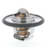 Thermostat Kühlwasser Kühlmittel, Bild 9