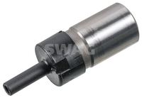 Spanner Steuerkette